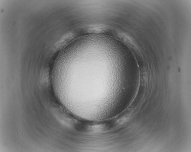 X0000066970312200603271215