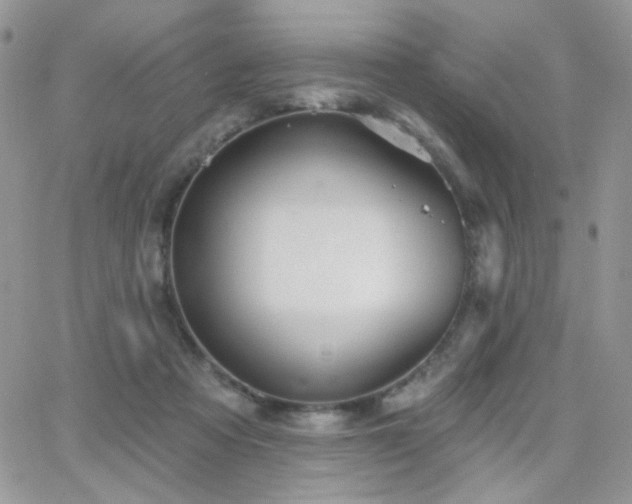 X0000066970313200603271215