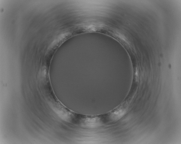 X0000066970314200603271215