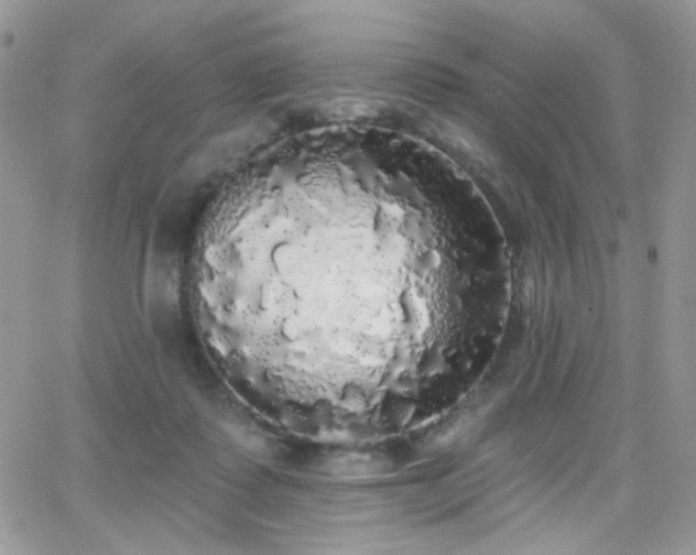 X0000066970315200603271215