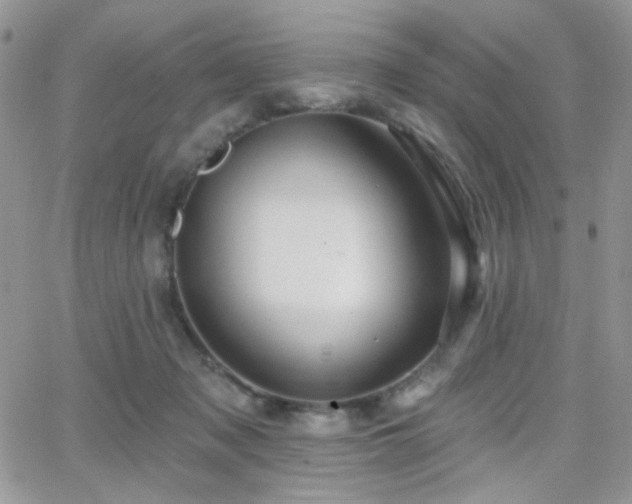 X0000066970317200603271215