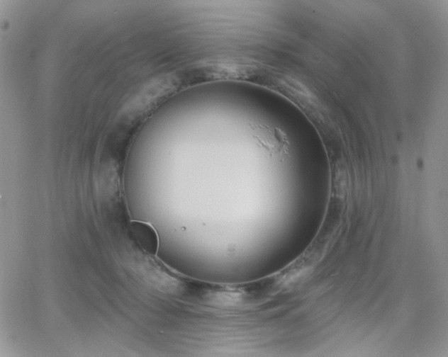 X0000066970318200603271215