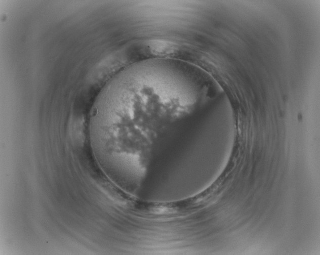 X0000066970319200603271215