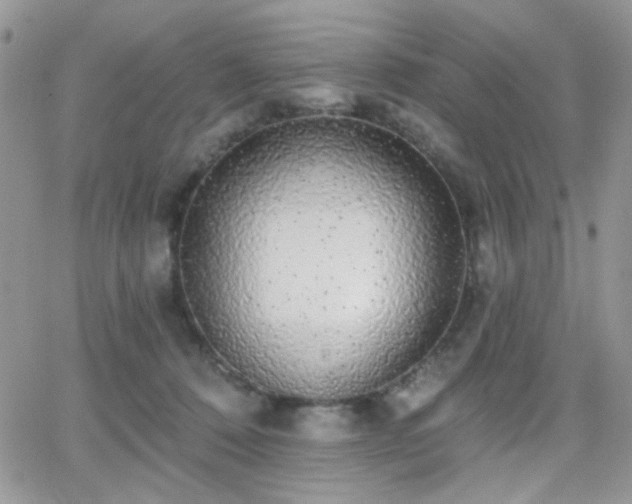 X0000066970320200603271215