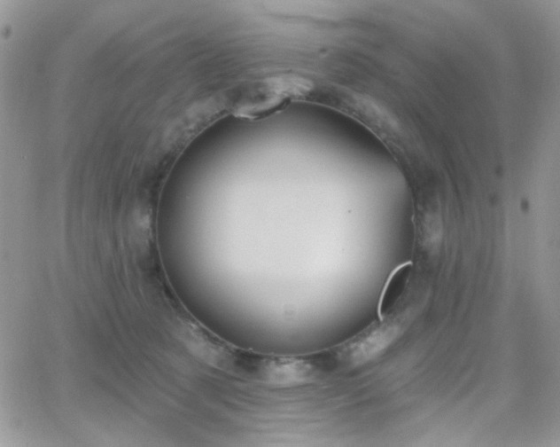 X0000066970321200603271214