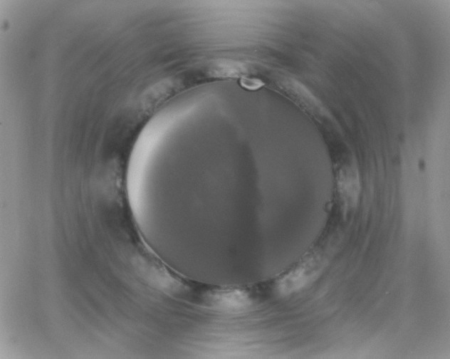 X0000066970322200603271214