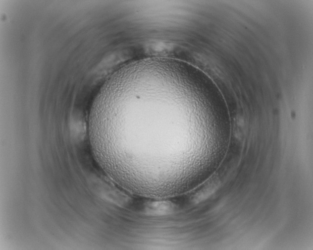 X0000066970324200603271214