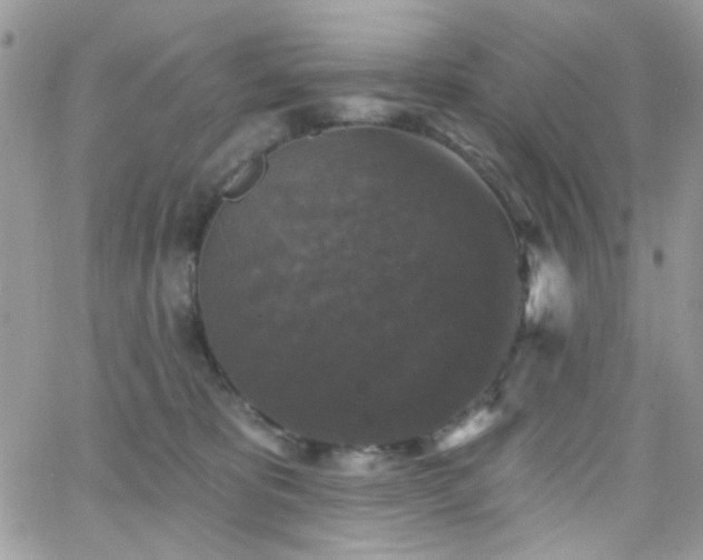 X0000066970325200603271214