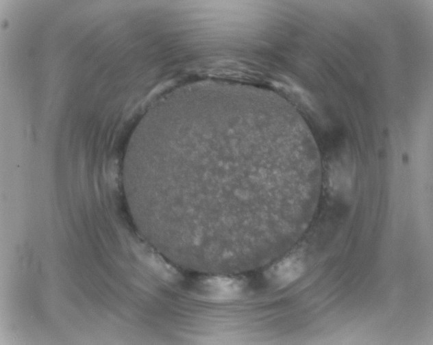 X0000066970326200603271214