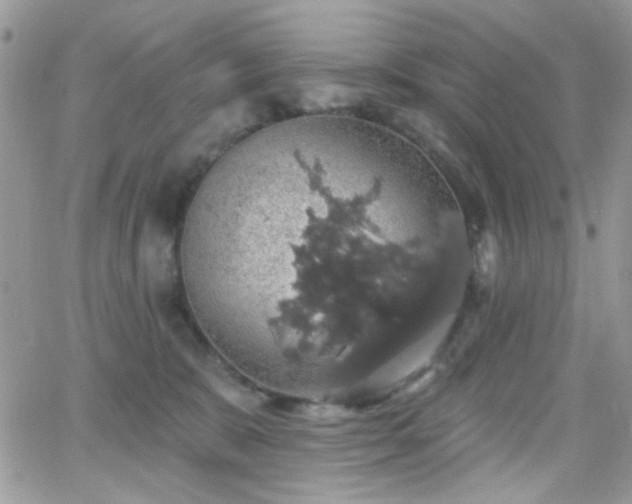 X0000066970327200603271214