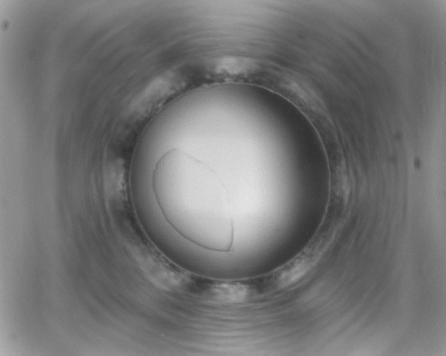 X0000066970328200603271214