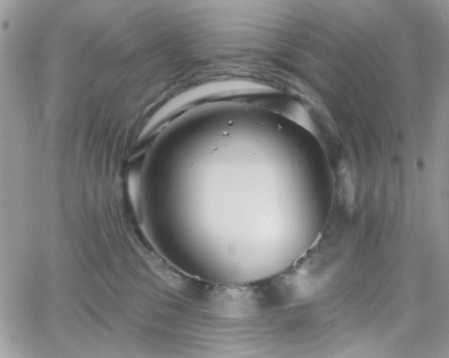 X0000066970329200603271214