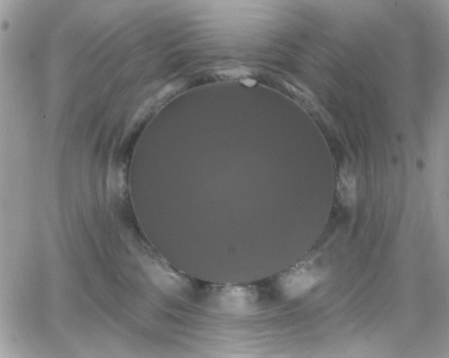 X0000066970330200603271214