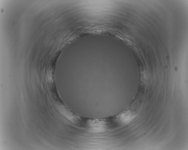 X0000066970331200603271214