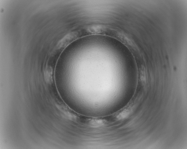 X0000066970332200603271214