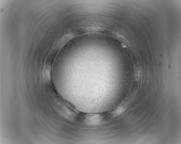 X0000066970334200603271214