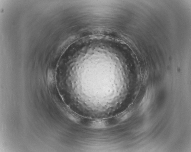 X0000066970335200603271214