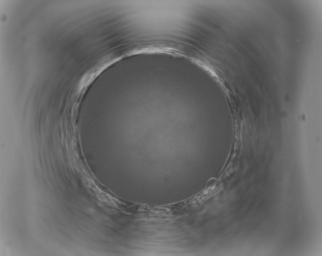 X0000066970337200603271213