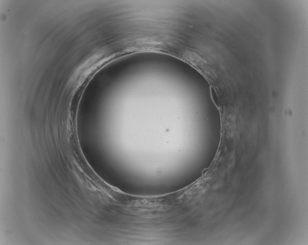 X0000066970338200603271213