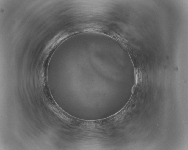 X0000066970339200603271213