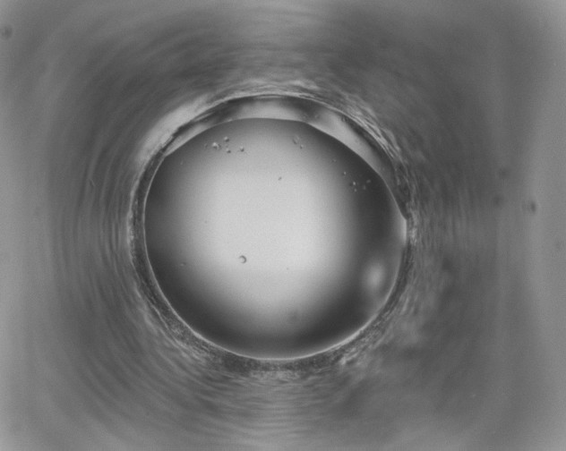 X0000066970340200603271214