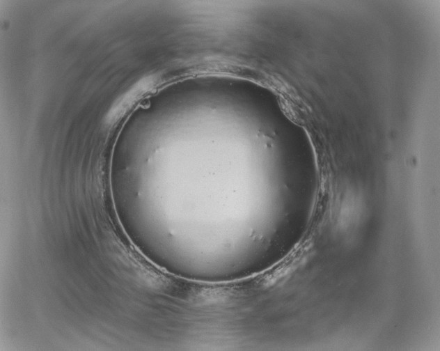 X0000066970341200603271214