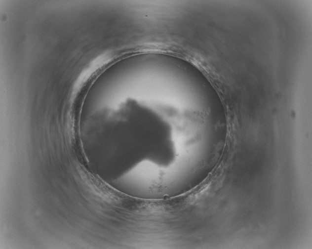 X0000066970343200603271214