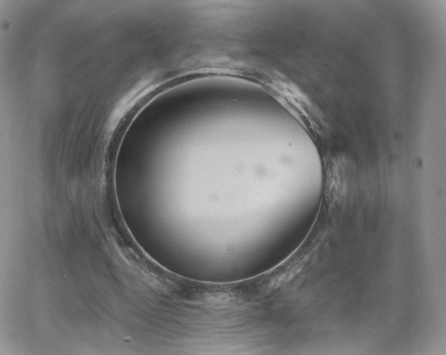 X0000066970344200603271214