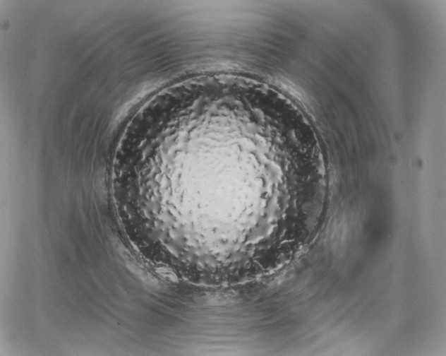 X0000066970345200603271214