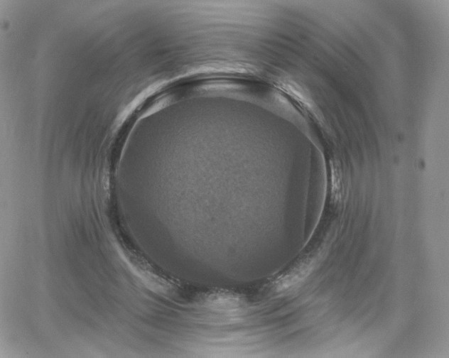 X0000066970348200603271214