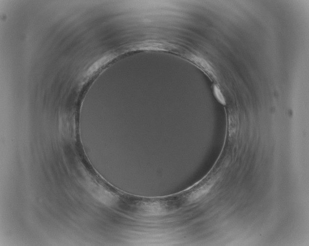 X0000066970349200603271214