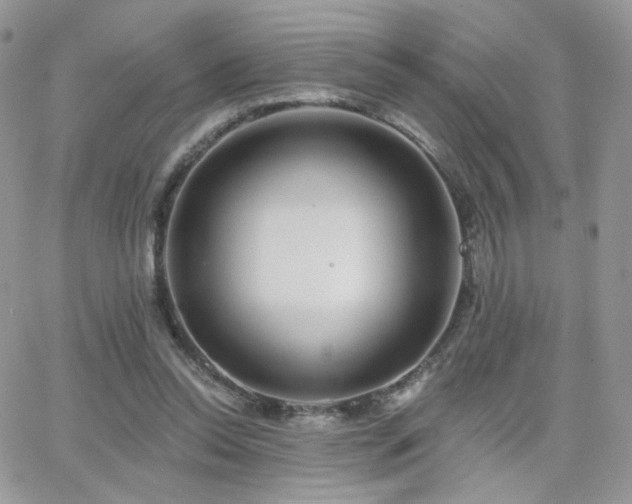 X0000066970350200603271214