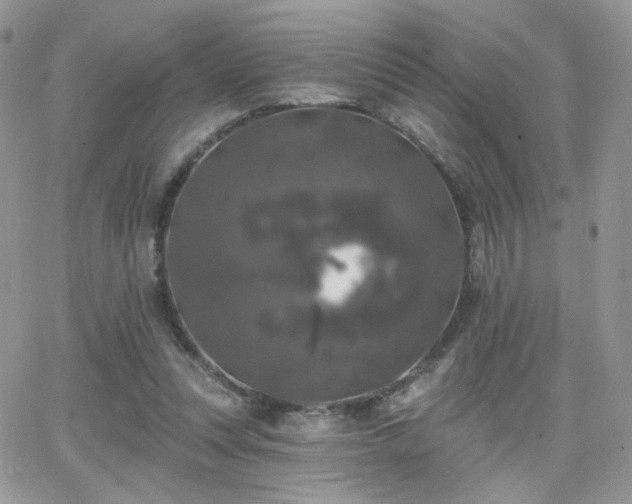 X0000066970351200603271214