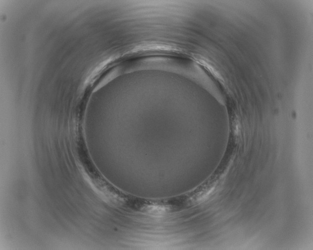 X0000066970352200603271214