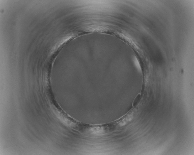 X0000066970353200603271214