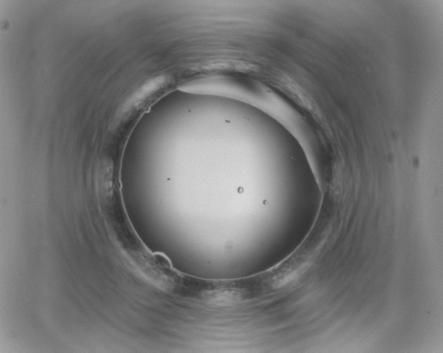 X0000066970356200603271214