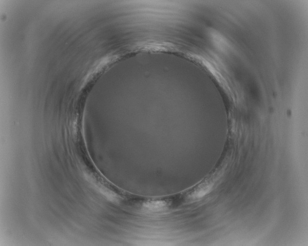 X0000066970357200603271214