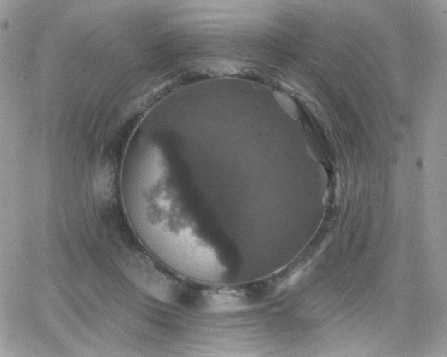 X0000066970359200603271214