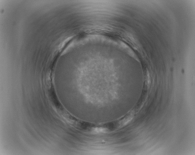 X0000066970360200603271214