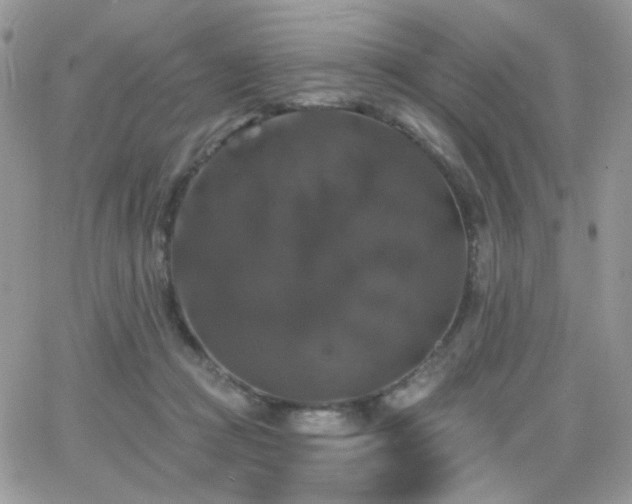 X0000066970361200603271214