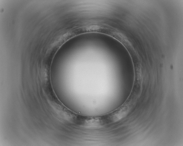 X0000066970362200603271214