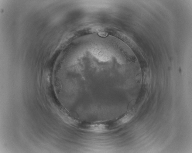 X0000066970363200603271214