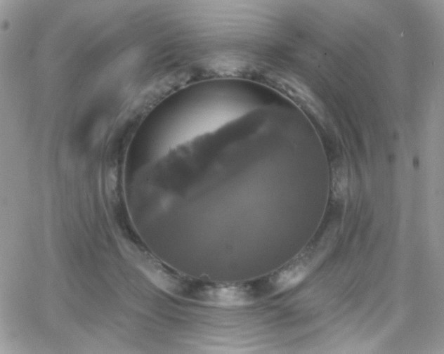 X0000066970365200603271214