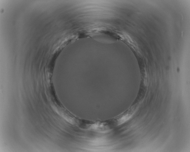 X0000066970366200603271214