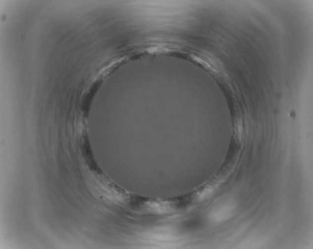 X0000066970367200603271214