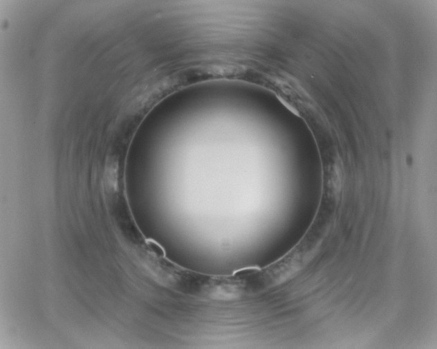 X0000066970368200603271214