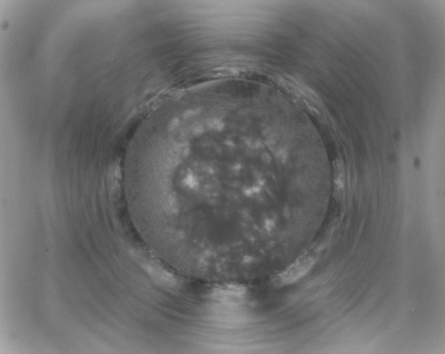 X0000066970369200603271214