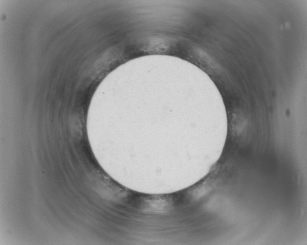 X0000066970370200603271214