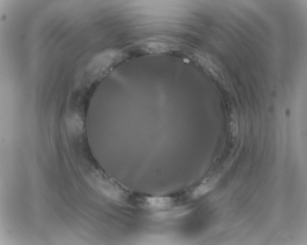 X0000066970371200603271214