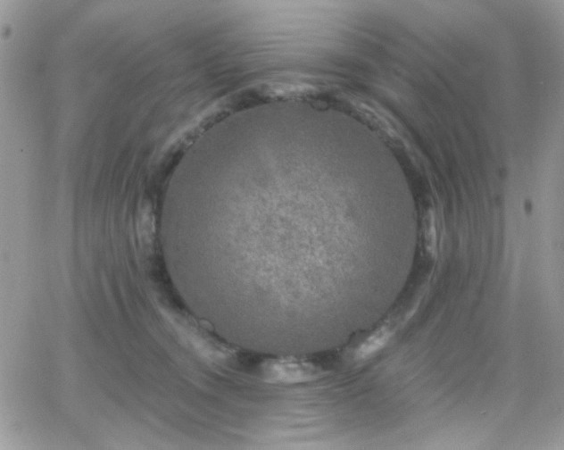 X0000066970372200603271214